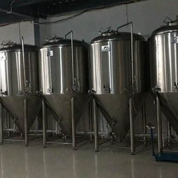 精釀啤酒設備投資指南 從費用選型到優質廠家報價全解析